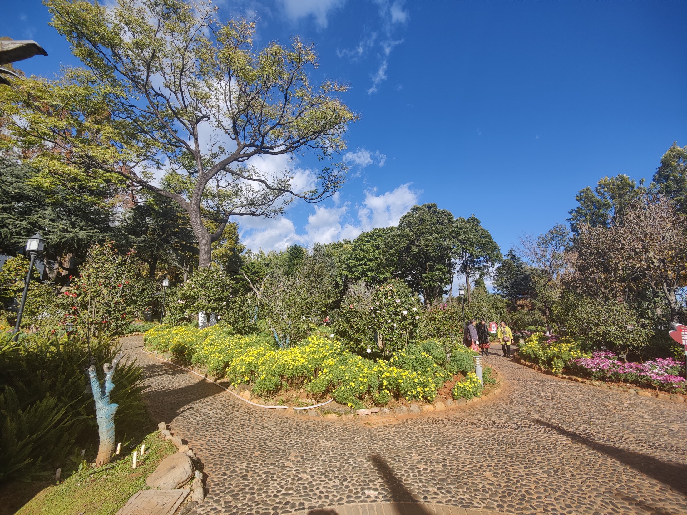 Dali scenery