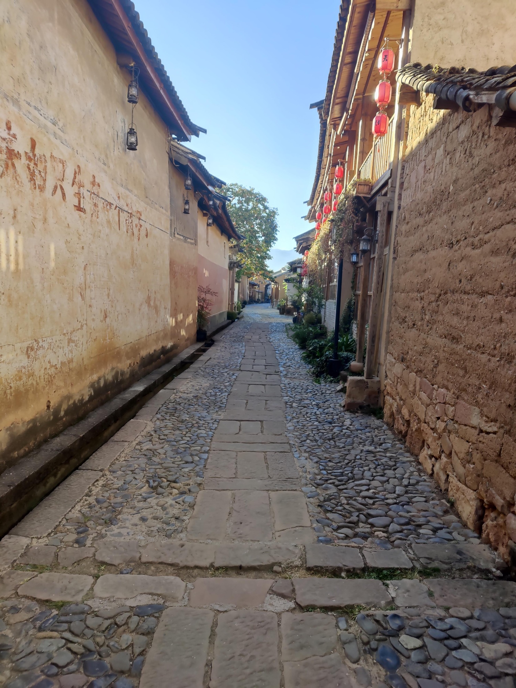 Dali scenic view